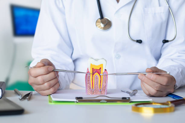 Best Cosmetic Emergency Dentistry in Hartshorne, OK